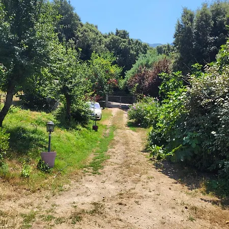 A La Campagne Ucciani