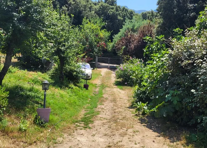 A La Campagne Ucciani